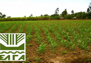 ΕΛΓΑ: Αλλαγές στο ΔΣ – Παραμένει πρόεδρος ο Α. Λυκουρέντζος