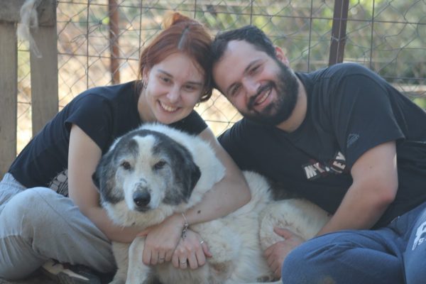 Οι βορειοελλαδίτες εθελοντές που σώζουν αδέσποτες ζωές