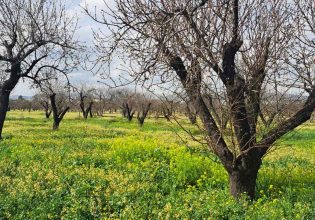 Για σημαντικά περιβαλλοντικά και οικονομικά οφέλη κάνει λόγο το Πράσινο Ταμείο