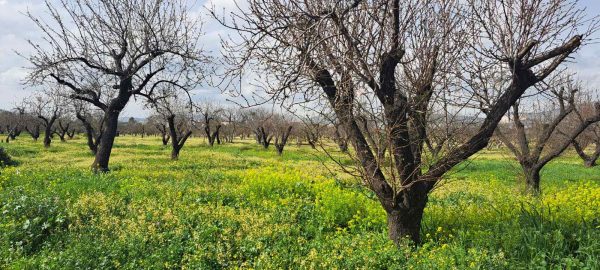 Για σημαντικά περιβαλλοντικά και οικονομικά οφέλη κάνει λόγο το Πράσινο Ταμείο