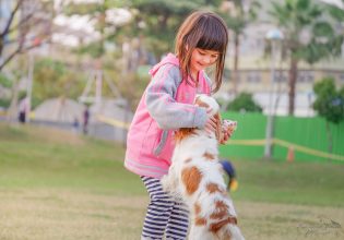 Γιατί τα παιδιά επικοινωνούν καλύτερα με τα ζώα; – Τα οφέλη που τους προσφέρουν