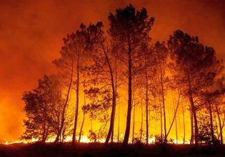 Κλιματική δικαιοσύνη στα δικαστήρια – Η καταδίκη της Ελβετίας άνοιξε τον δρόμο