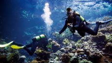 Κοραλλιογενείς ύφαλοι: Ενυδρείο ανοίγει «Κιβωτό του Νώε» για είδη που κινδυνεύουν