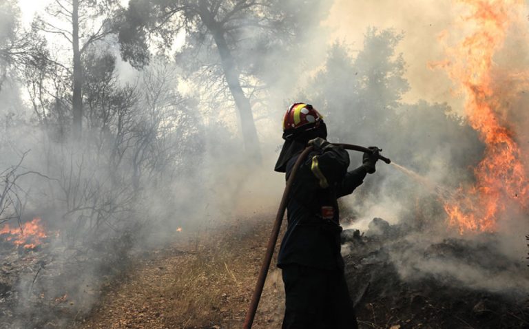 Φωτιά στο όρος Μαυροβούνι στη Λάρισα – Επί τόπου ισχυρές δυνάμεις της Πυροσβεστικής