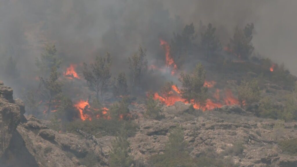 ΠΑΣΟΚ για φωτιά στο Λασίθι: Ο μηχανισμός δεν είναι ακόμη σε ετοιμότητα παρά τα μεγάλα λόγια της κυβέρνησης