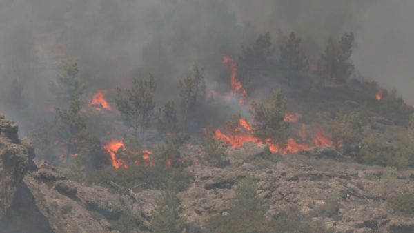 ΠΑΣΟΚ για φωτιά στο Λασίθι: Ο μηχανισμός δεν είναι ακόμη σε ετοιμότητα παρά τα μεγάλα λόγια της κυβέρνησης