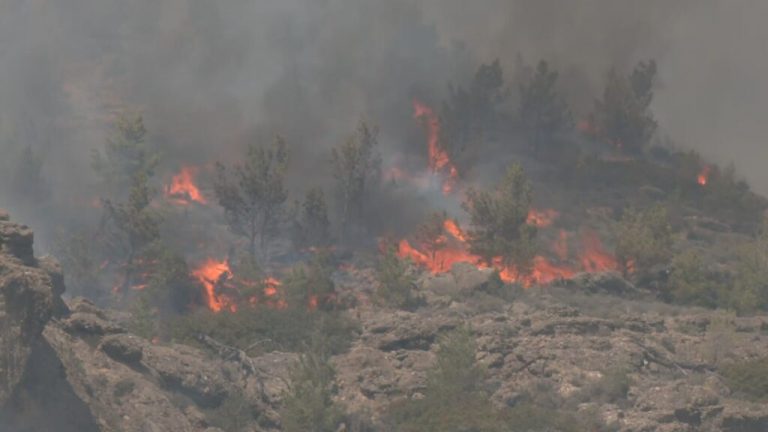 ΠΑΣΟΚ για φωτιά στο Λασίθι: Ο μηχανισμός δεν είναι ακόμη σε ετοιμότητα παρά τα μεγάλα λόγια της κυβέρνησης