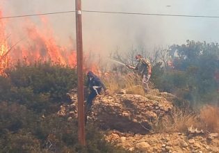 Πυρκαγιά στην Κρήτη: Μάχη με τους ισχυρούς ανέμους – Τρεις τραυματίες