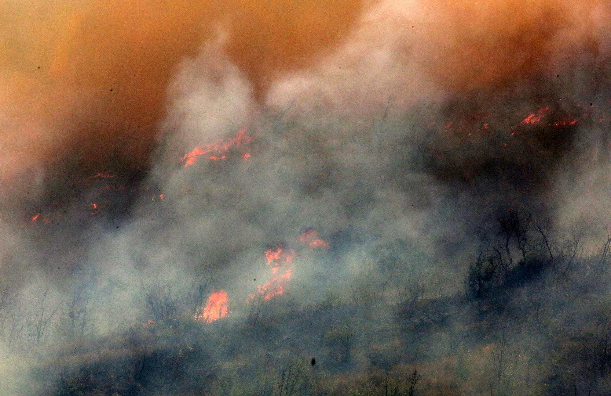 Καμπανάκι πυρομετεωρολόγου: Μεγάλη ανησυχία για τις δασικές πυρκαγιές - Το τρίπτυχο της διαχείρισης