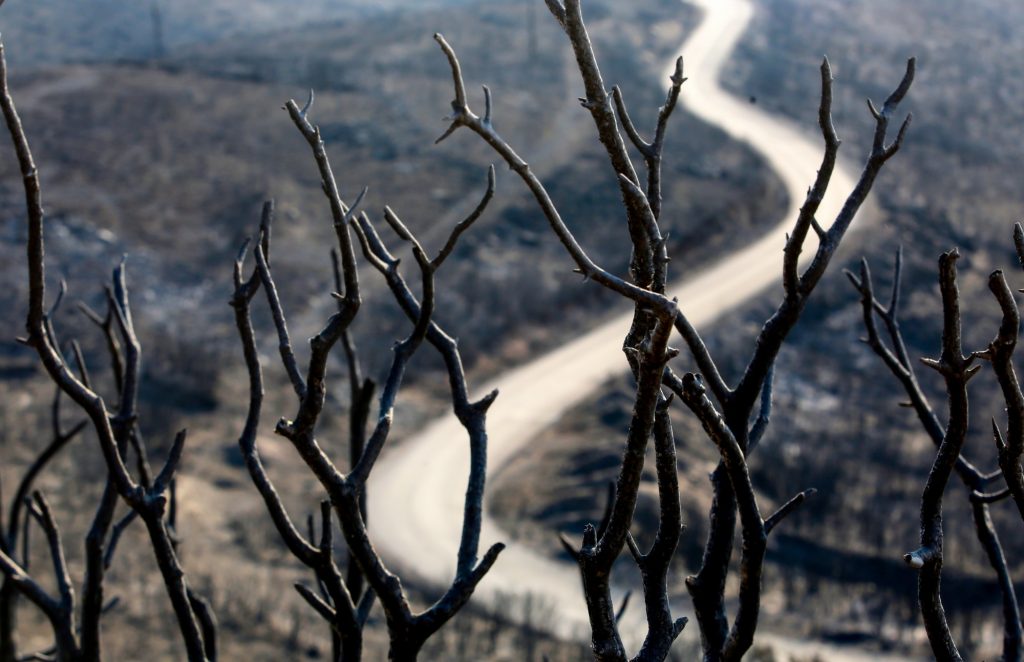 Μπαράζ συλλήψεων και προστίμων για πρόκληση πυρκαγιών στην επικράτεια