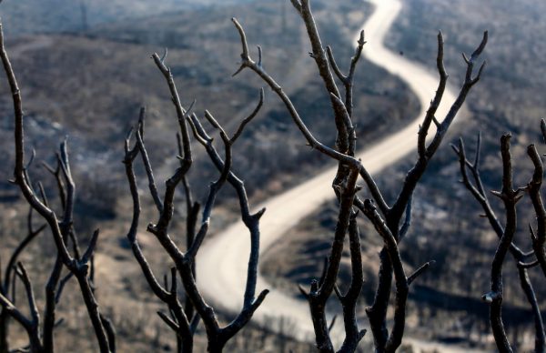 Μπαράζ συλλήψεων και προστίμων για πρόκληση πυρκαγιών στην επικράτεια