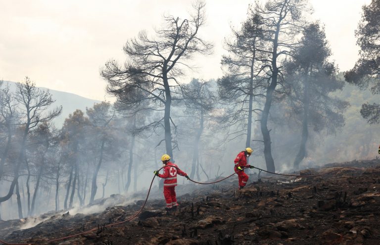 Πυρκαγιά στα Καμένα Βούρλα
