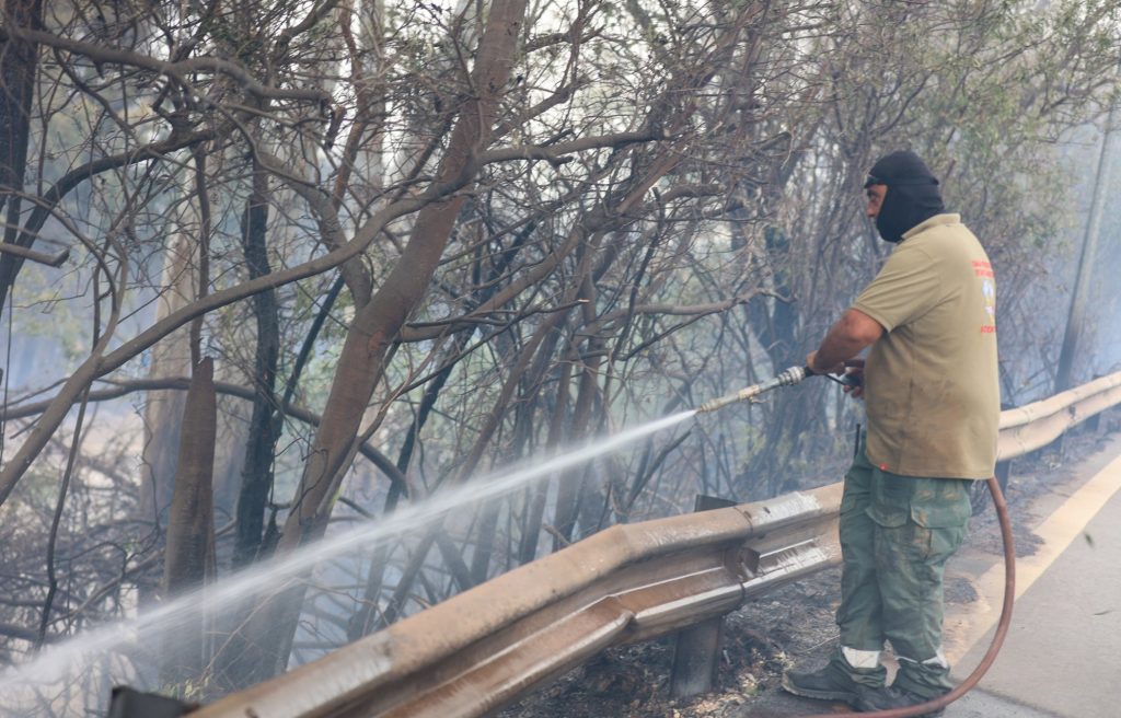 Νέα Αριστερά: Η πυρκαγιά στα Χανιά ακόμη μια προειδοποίηση – Εθνική προτεραιότητα η πολιτική προστασία