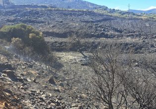 Λακωνία: Υπό μερικό έλεγχο τέθηκε η φωτιά στην περιοχή Άγιος Στέφανος στη Μονεμβασιά