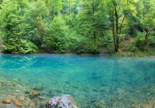 Αν είσαι φυσιολάτρης αυτά τα μέρη της Ευρώπης είναι για εσένα – Ησυχία, άγρια ζωή και φυσικά τοπία