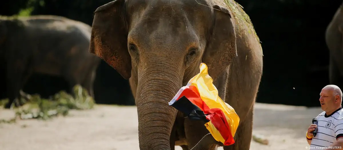 «Αν θέλετε να σας στείλουμε 20.000 ελέφαντες στη Γερμανία» λέει ο πρόεδρος της Μποτσουάνα
