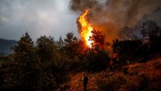 Πυροσβεστική: Συναγερμός για πυρκαγιά που ξέσπασε στους Δελφούς – «Σηκώθηκαν» αεροσκάφη