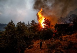 Πυροσβεστική: Συναγερμός για πυρκαγιά που ξέσπασε στους Δελφούς – «Σηκώθηκαν» αεροσκάφη
