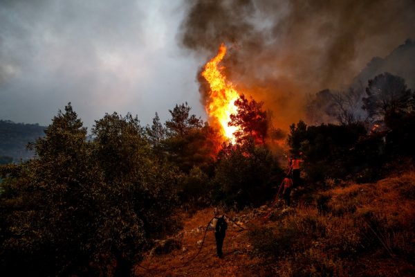 Πυροσβεστική: Συναγερμός για πυρκαγιά που ξέσπασε στους Δελφούς - «Σηκώθηκαν» αεροσκάφη
