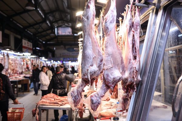 Πώς να ξεχωρίσετε το ελληνικό αρνί και κατσίκι – Τι να προσέξετε