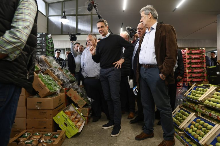 Μητσοτάκης: Συνεχής ο αγώνας κατά της ακρίβειας – Έχουμε πια πτώση τιμών