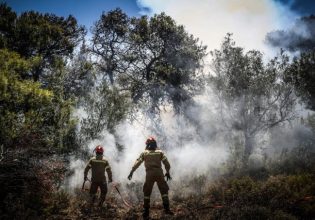 Διαδημοτική συνεργασία για την προστασία του Πεντελικού
