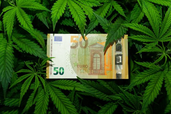 JuicyFields: Απάτη εκατομμυρίων με όχημα την κάνναβη