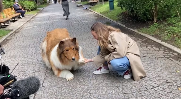 Ιαπωνία: Ο άνθρωπος-κόλεϊ ξαναχτυπά με νέο βίντεο εναντίον Ακίτα