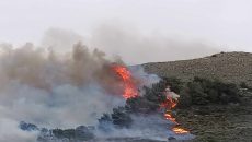 Πάρος: Τρεις εργάτες συνελήφθησαν για την μεγάλη φωτιά στο Πυργάκι Παροικιάς
