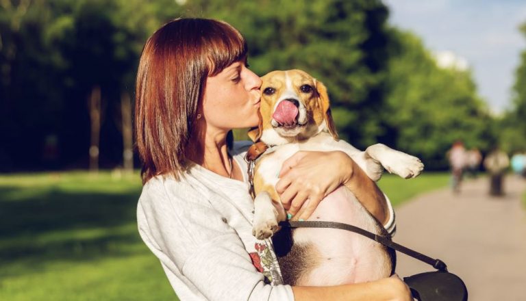 Είμαι 39 ετών, κατέψυξα τα ωάριά μου – αλλά μήπως θα προτιμούσα ένα κουτάβι από ένα μωρό;