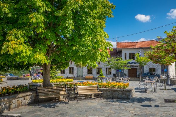 Επιστολή δημάρχου Βορείων Τζουμέρκων για την οριακή λειτουργία των υπηρεσιών λόγω υποστελέχωσης