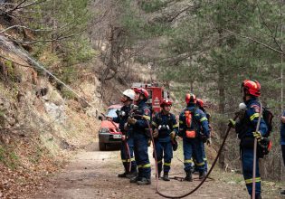 Πιέρια Όρη: Θέμα ωρών να τεθεί η φωτιά σε πλήρη έλεγχο – Παραμένουν μικρές διάσπαρτες εστίες