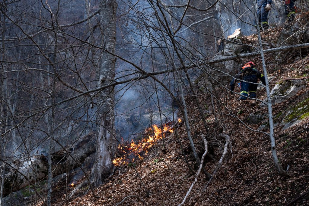 Καμπανάκι της Πυροσβεστικής για τις πυρκαγιές – 70 εκδηλώθηκαν σε μία μέρα