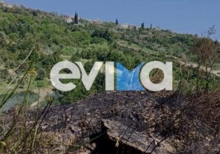 Εύβοια: Υπό έλεγχο η φωτιά στο χωριό Καλημεριάνοι εν μέσω ισχυρών ανέμων