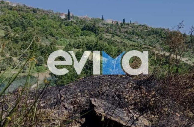 Εύβοια: Υπό έλεγχο η φωτιά στο χωριό Καλημεριάνοι εν μέσω ισχυρών ανέμων