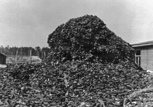 «Οι άνθρωποι δεν θα ξεχάσουν ποτέ αυτά τα παπούτσια»: Ο λόφος με τις σόλες του ναζιστικού στρατοπέδου Stutthof