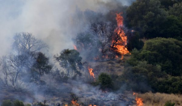 Κατερίνη: Μαίνεται η φωτιά σε δύσβατη περιοχή στα Πιέρια Όρη – Ολονύχτια μάχη με τις φλόγες