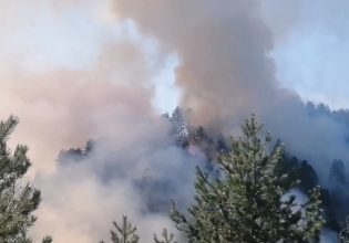 Καστοριά: Φωτιά σε δασική έκταση στην περιοχή Μονόπυλο Νεστορίου