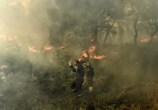 Βοιωτία: Φωτιά σε εξέλιξη στην Αλίαρτο – Δεν απειλούνται κατοικημένες περιοχές