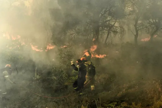 Βοιωτία: Πυρκαγιά σε εξέλιξη στην Αλίαρτο – Δεν απειλούνται κατοικημένες περιοχές
