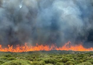Φωτιά στη Δαύλεια Βοιωτίας
