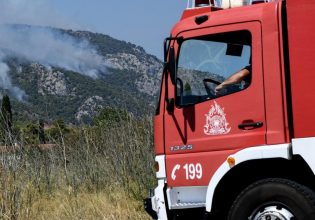 Υπό έλεγχο οι φωτιές σε Δαύλεια και Ηράκλειο – Βελτιωμένη η εικόνα στο Λασίθι