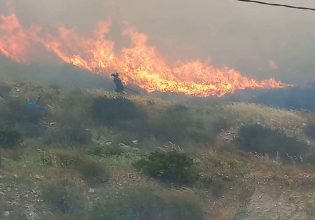 Πάρος: Καλύτερη η εικόνα από τη φωτιά – Έφτασε κοντά σε σπίτια