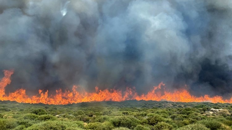 Φωτιά στη Δαύλεια Βοιωτίας