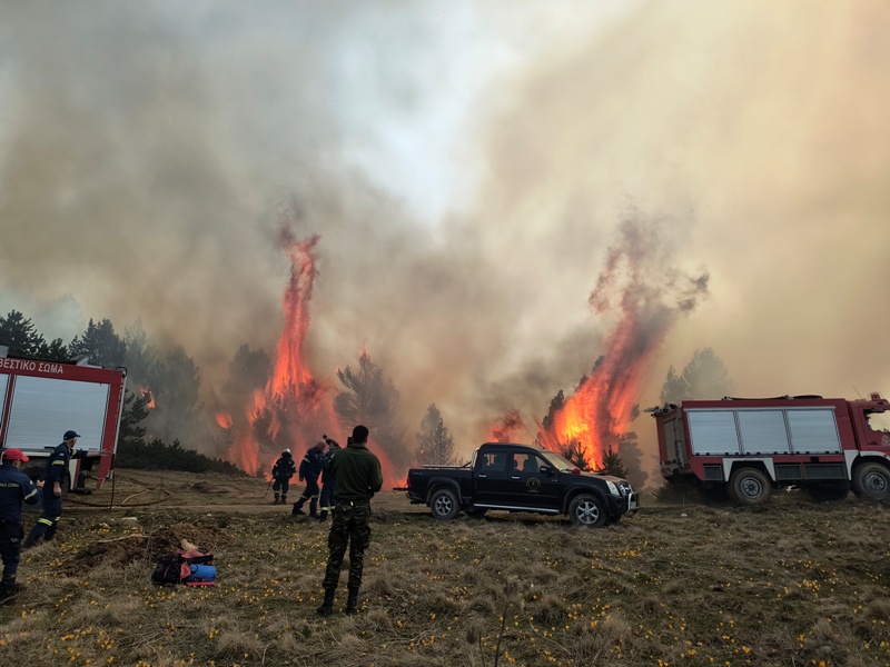 Πιέρια Όρη: Πολύ καλύτερη η εικόνα της φωτιάς - Μικρή η καταστροφή, αναφέρει ο δασάρχης Πιερίας στο in