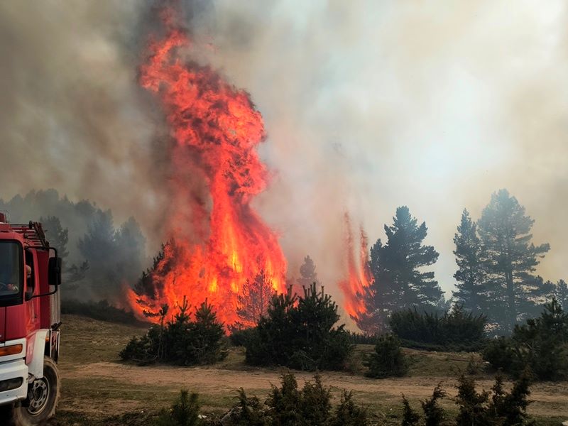 Κικίλιας: Ο δασάρχης Πιερίας σηματοδοτεί τον τρόπο που πρέπει να κινούμαστε στην αντιμετώπιση πυρκαγιών