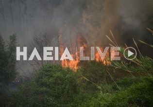 Φωτιά στη Ζαχάρω – Κοντά σε κατοικημένη περιοχή οι φλόγες