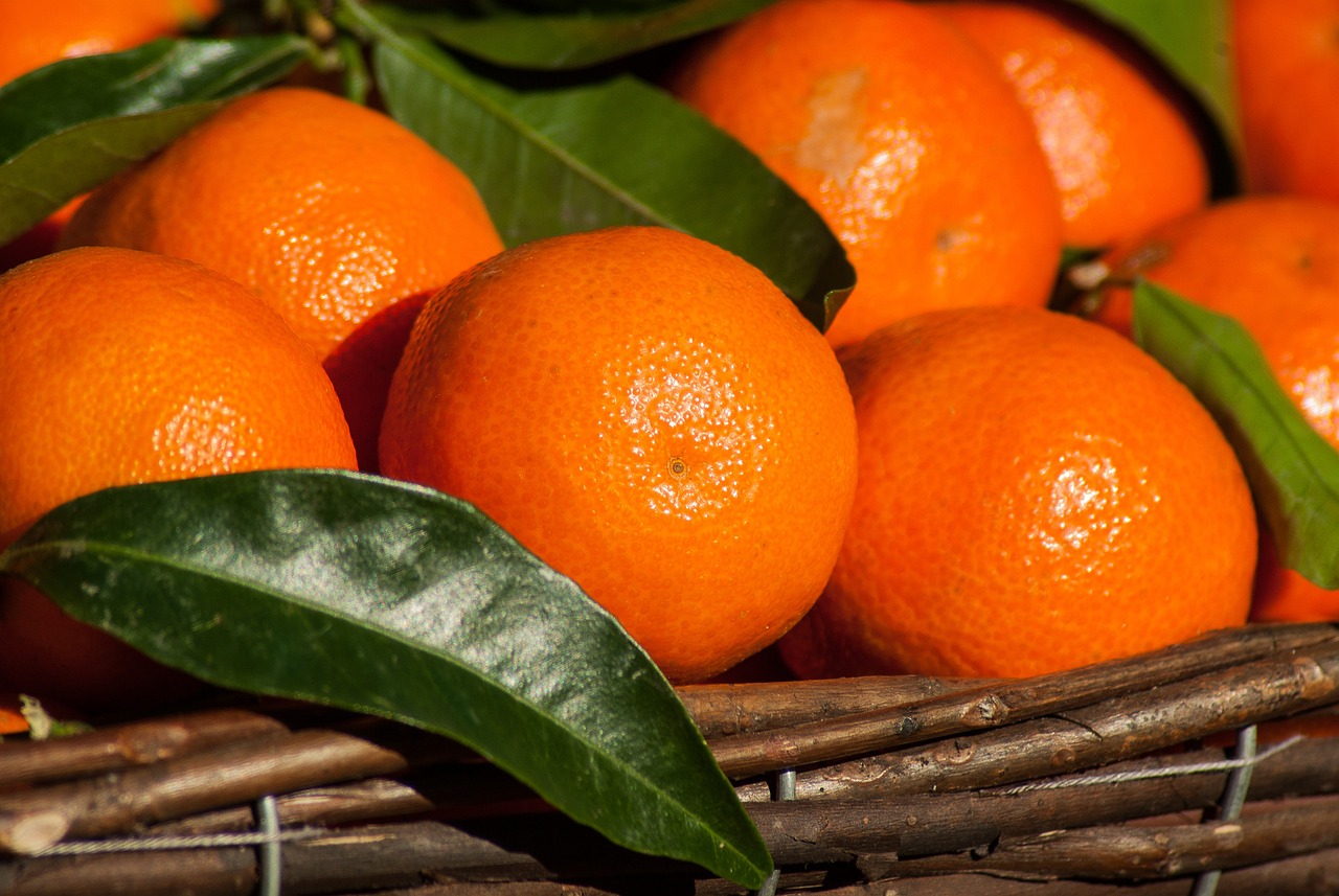Εξαγωγές: Χαμηλές πτήσεις για τα εσπεριδοειδή – Αιγυπτιακά πορτοκάλια έχουν κατακλύσει τις αγορές