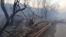 Κρήτη: Συγκλονιστικές εικόνες – Τι άφησε πίσω της η μεγάλη φωτιά στον Ναύσταθμο