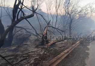 Κρήτη: Συγκλονιστικές εικόνες – Τι άφησε πίσω της η μεγάλη φωτιά στον Ναύσταθμο